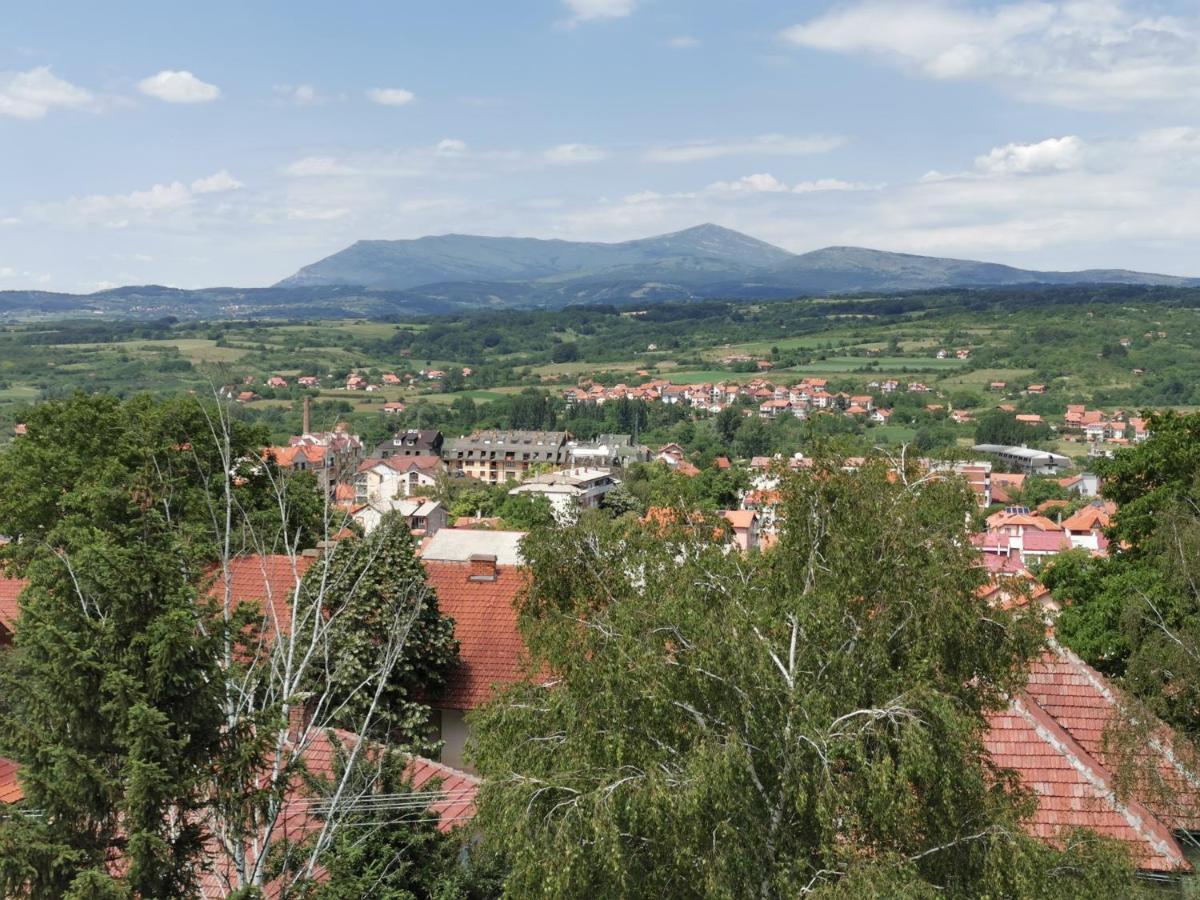Vila Breza Soko Banja Bagian luar foto
