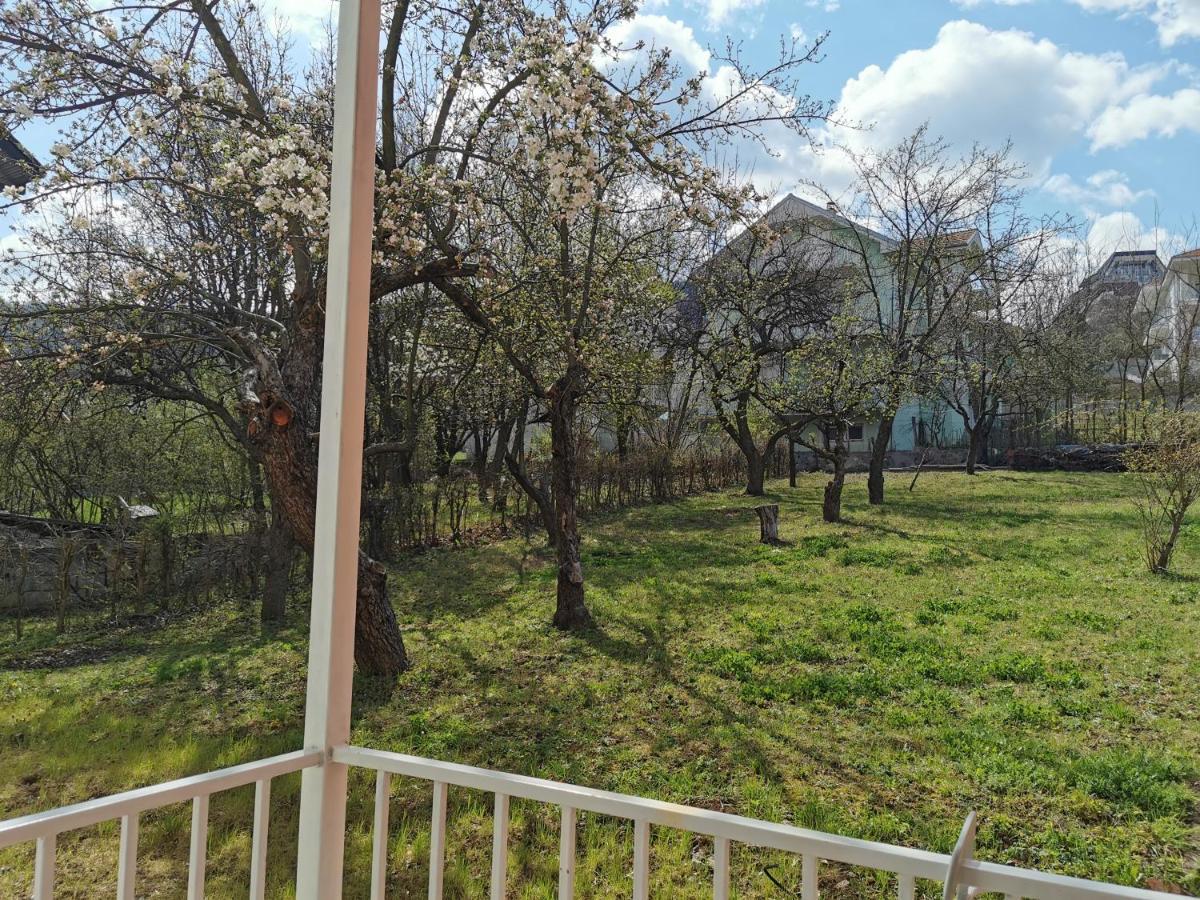 Vila Breza Soko Banja Bagian luar foto