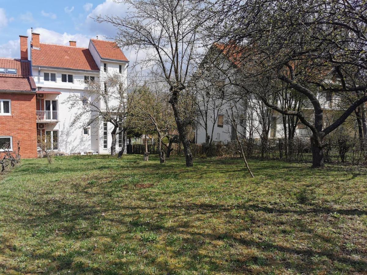 Vila Breza Soko Banja Bagian luar foto