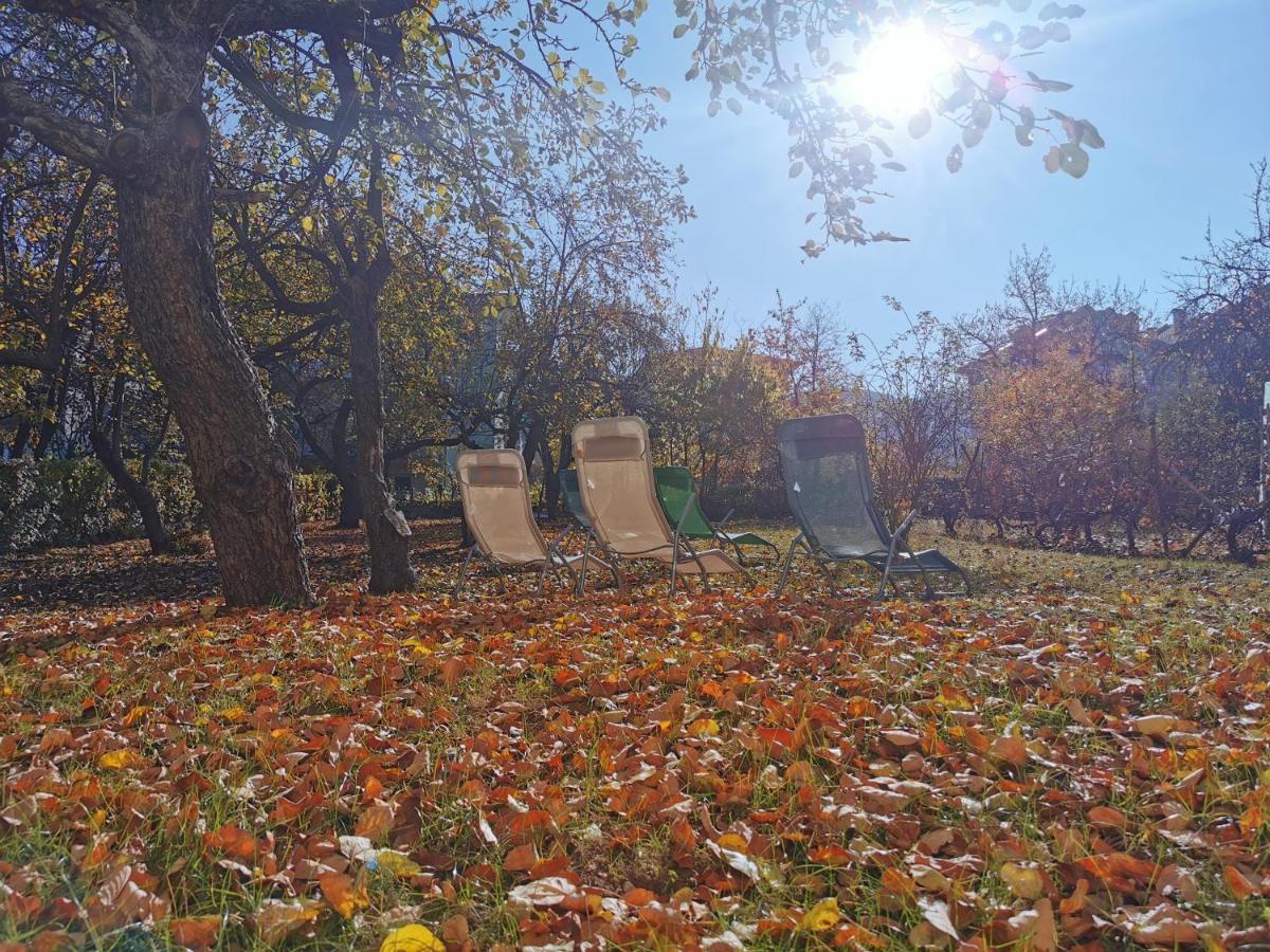Vila Breza Soko Banja Bagian luar foto