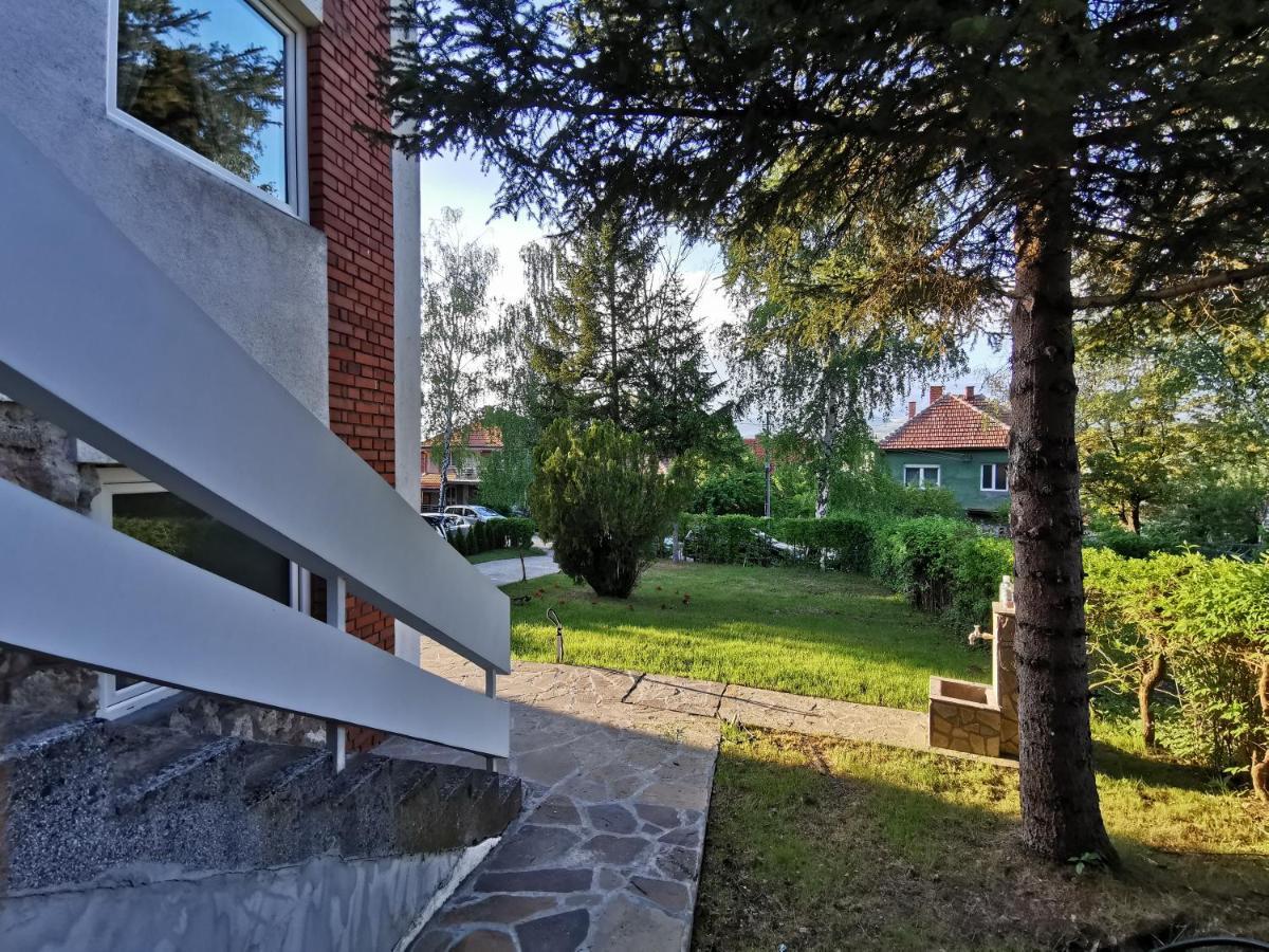 Vila Breza Soko Banja Bagian luar foto