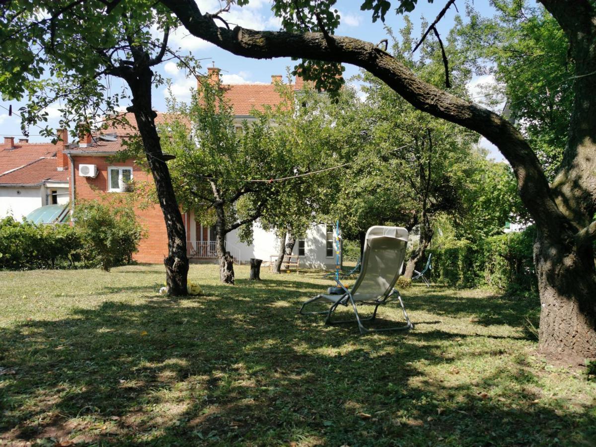 Vila Breza Soko Banja Bagian luar foto