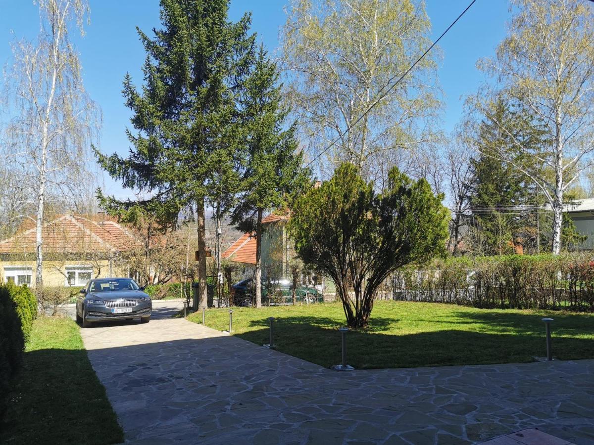 Vila Breza Soko Banja Bagian luar foto
