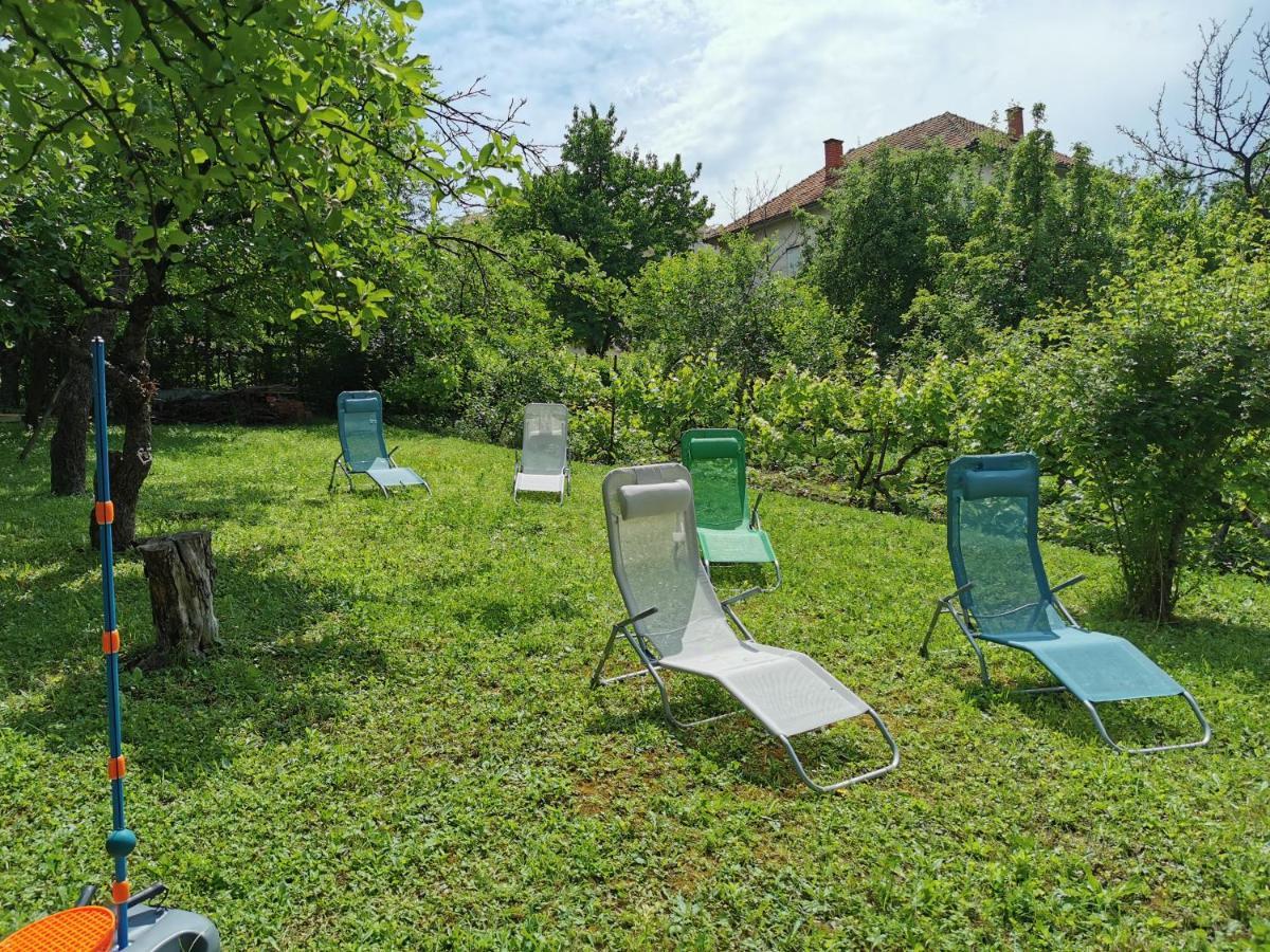 Vila Breza Soko Banja Bagian luar foto