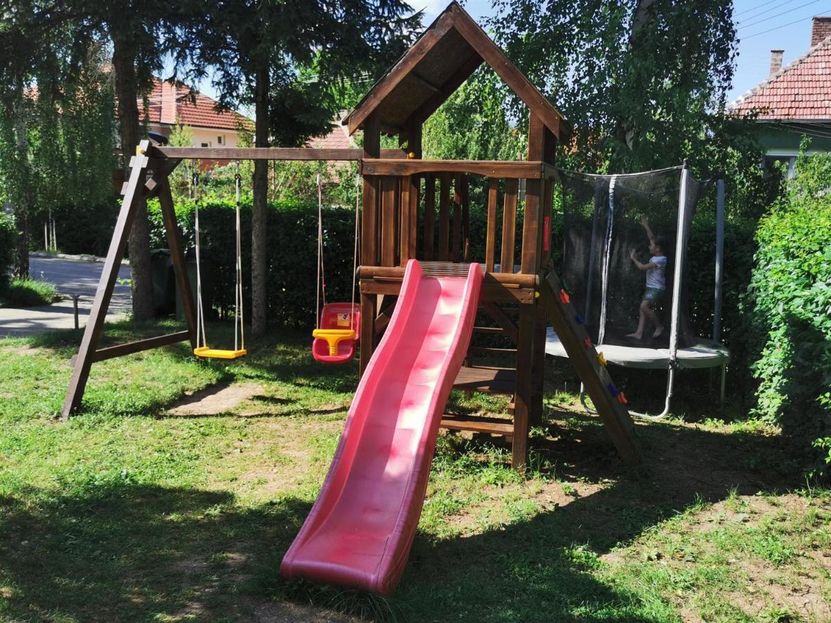Vila Breza Soko Banja Bagian luar foto