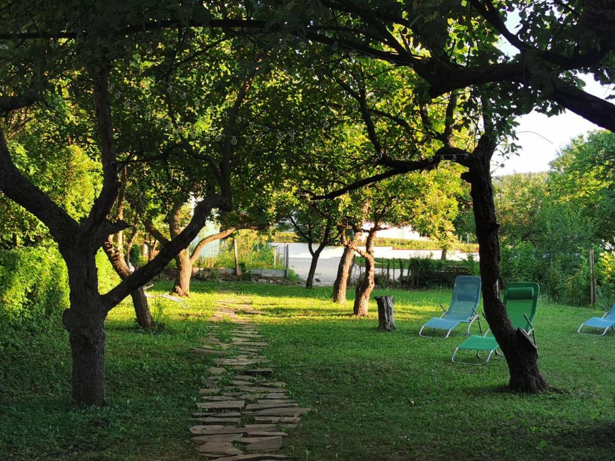 Vila Breza Soko Banja Bagian luar foto